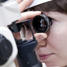 Гониоскопия глаза: что нужно знать